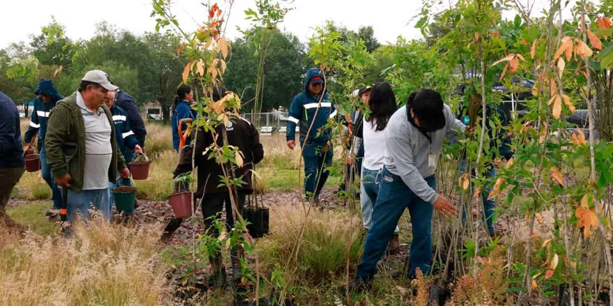 “Arbolitros 2026”: Agua de Puebla sembrará más de 3 mil árboles para fortalecer los acuíferos