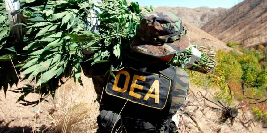 Cártel de Sinaloa y al CJNG son prioridad de la DEA en la lucha contra el fentanilo