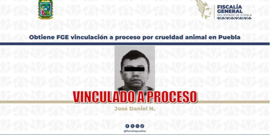 Procesan a José Daniel N. por presunta crueldad animal contra perro en Puebla