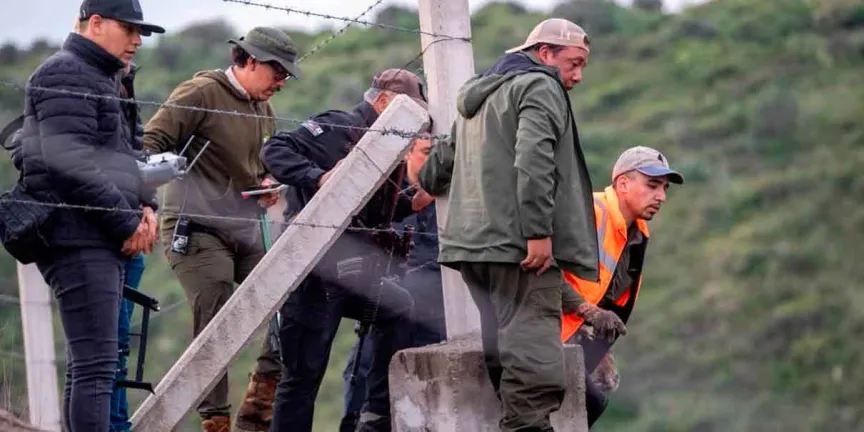 Tras varios días de búsqueda capturan a Kenzo, el tigre blanco que escapó en Tepetlaoxtoc 