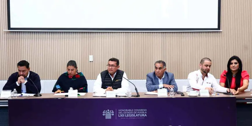  Ley de Seguridad Pública del Estado de PueblaDelfina Pozos Vergara