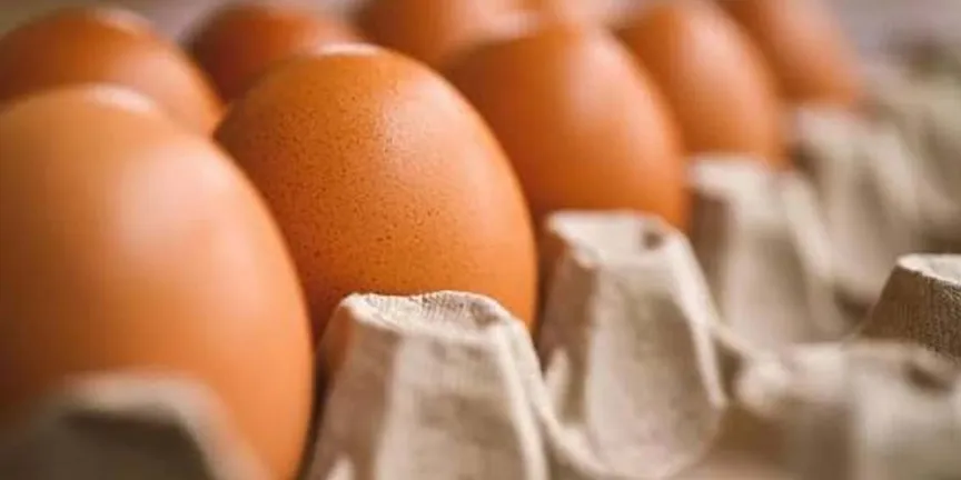 Detectan cientos de huevos “pirata” en Durango; así puedes reconocerlos