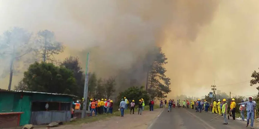 Puebla reduce incendios forestales en 2026; Tlachichuca encabeza casos