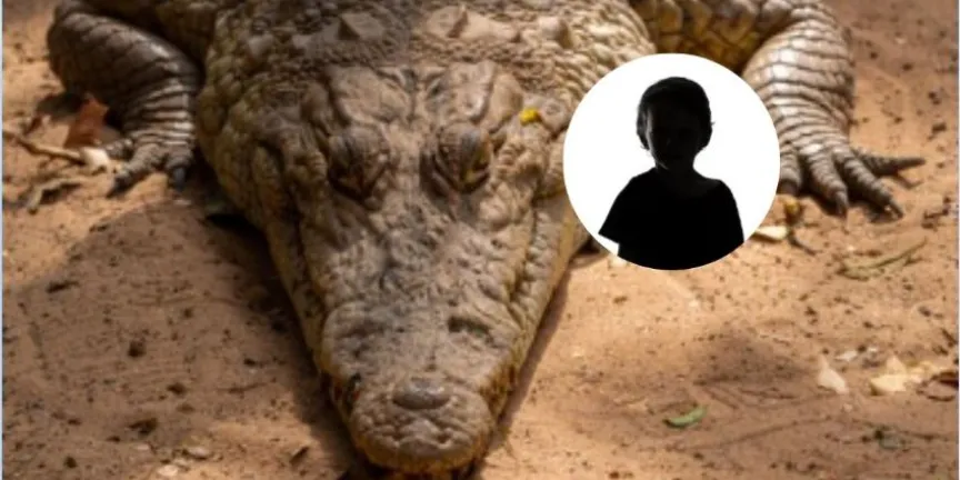 Menor atacado por cocodrilos en un zoológico suma siete cirugías mientras avanza la investigación