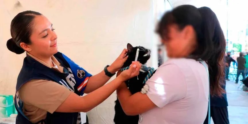 En Quecholac, órdenes de gobierno realizan “Ferias de Paz y Atención Médica de Primer Contacto”