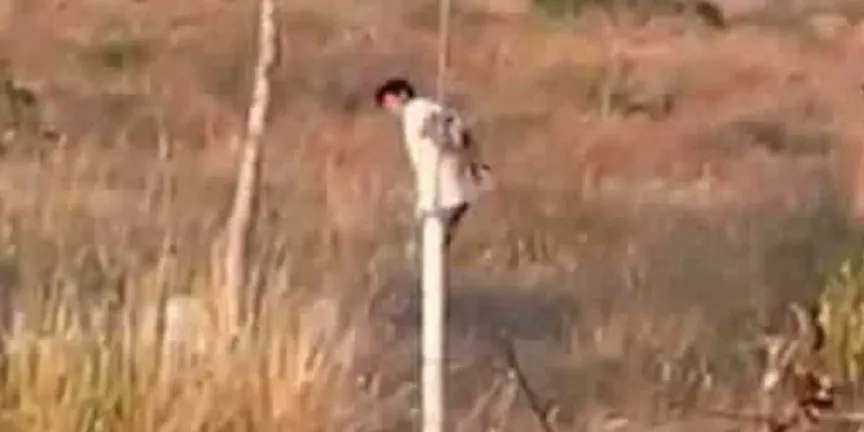 Trailero es golpeado, amarrado y abandonado tras violento asalto en la Cuacnopalan-Oaxaca