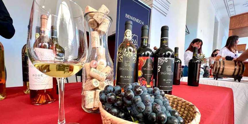 Museo del Vino de Dolores Hidalgo: una experiencia para brindar